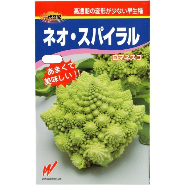 早生ロマネスコ (ネオ・スパイラル)