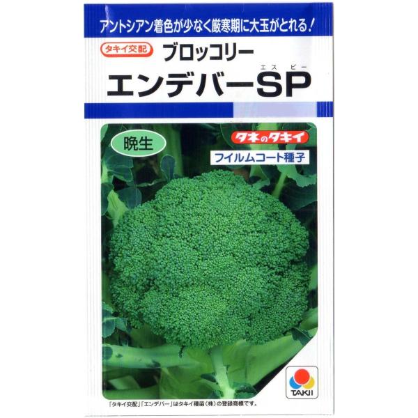 ブロッコリ（エンデバーSP）