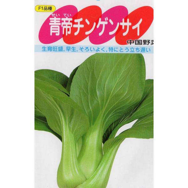 チンゲンサイ(青帝チンゲンサイ)