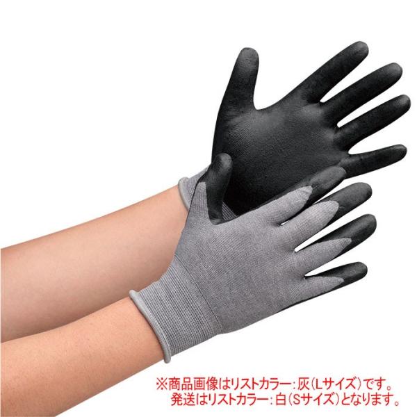 ~hS h MHG150eks S ̂ЂR[g^Cv nCObvjgSw   L ۉ