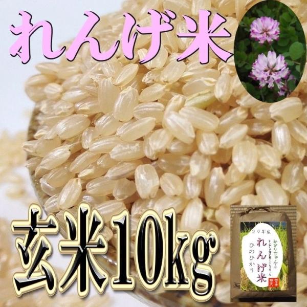 ヒノヒカリ れんげ 10割有機米 草の薬以外不使用 ひのひかり 10kg 玄米