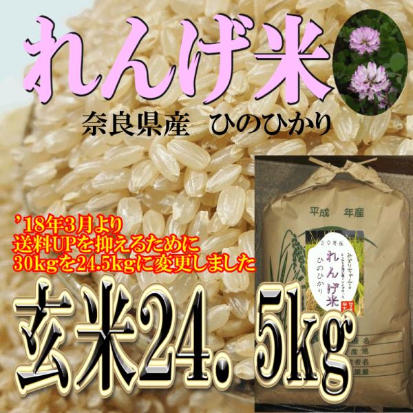 ヒノヒカリ れんげ 10割有機米 草の薬以外不使用 ひのひかり 24.5kg