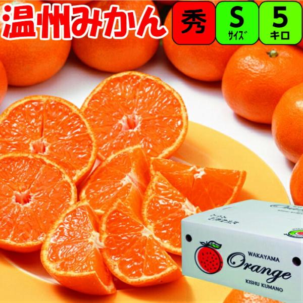 和歌山【秀品】越冬葉付き完熟みかん Sサイズ 5kg 特別栽培 甘さ