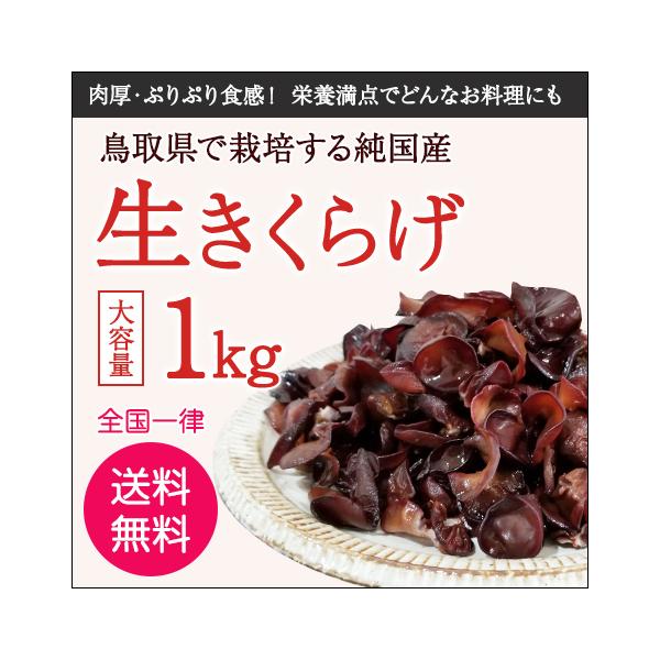 NHKガッテン！など、さまざまなメディアで取り上げられた話題の国産きくらげ！緑工房の生きくらげは、鳥取県にて「水汲谷(みずくみだに)」と呼ばれるほどおいしい水が湧き出る谷のそばで、完全無農薬栽培をしています。なんと驚きの4.5mmの肉厚で存...