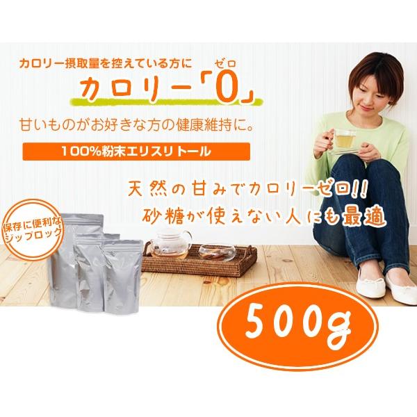 J[E[ GXg[500g E_CGbg