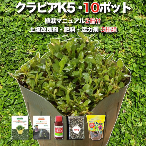 【レビュー特典は有機入り一発果菜肥料100ｇになります】※レビューは商品到着後にご投稿ください。【クラピア】：K5（薄桃） 9cmポット 10株【ポット色】：緑【肥料】：有機入り一発果菜肥料 100g【活力剤】：メネデール 100ml【土壌...