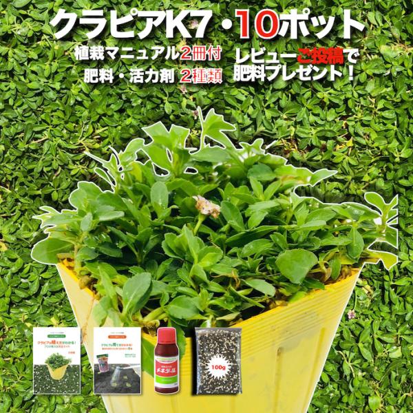 レビュー特典あり　すくすくシート35平米とJピン350本セット　1m×35m　完全植栽マニュアル付き　クラピア　芝桜