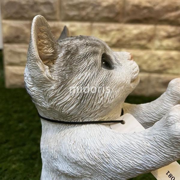 ベニーズキャット 安全 窓の外を眺めてます サバ白 子 猫 置物 可愛い リアル アニマルオブジェ 仔猫 かわいいネコ 玄関先 ガーデン 動物 雑貨 子猫 庭 インテリア
