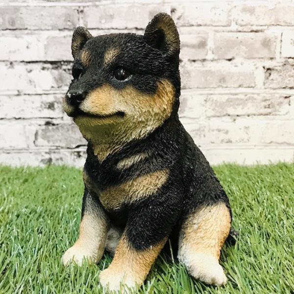 柴犬 黒 子犬のオブジェ 猫 置物 可愛い リアル アニマルオブジェ インテリア 庭 豆柴 かわいいネコ 仔猫 玄関先 卸直営 ガーデンオーナメント 雑貨 子猫 動物