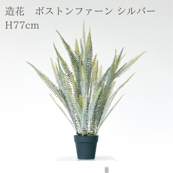 観葉植物 造花 ボストンファーン シルバー 小型 全高77cm フェイクグリーン 人工観葉植物 本物そっくり おしゃれ インテリア 室内 オフィス