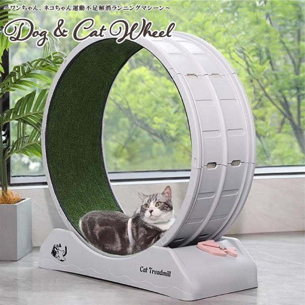 midoris_dc-wheel-abs