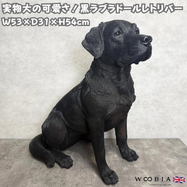 WOOBIA（ウービア） 犬 置物 大型 動物 特大 お座りラブラドール