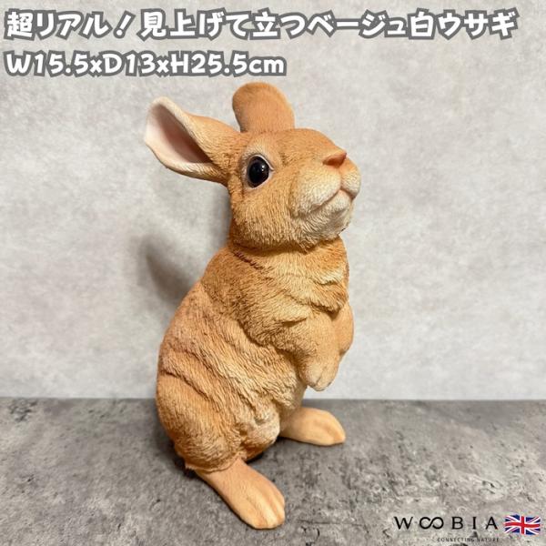 WOOBIA（ウービア） 置物 動物 見上げて立つベージュ白ウサギ 高さ25.5