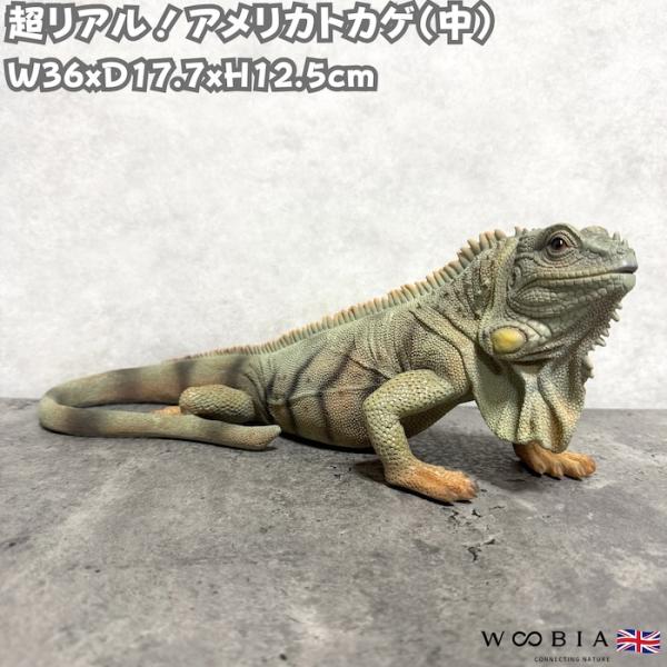 置物 アメリカトカゲ 中 かわいい オブジェ 北欧 動物 高さ12.5cm woobia おしゃれ 玄関インテリア リアル 大型 ウービア
