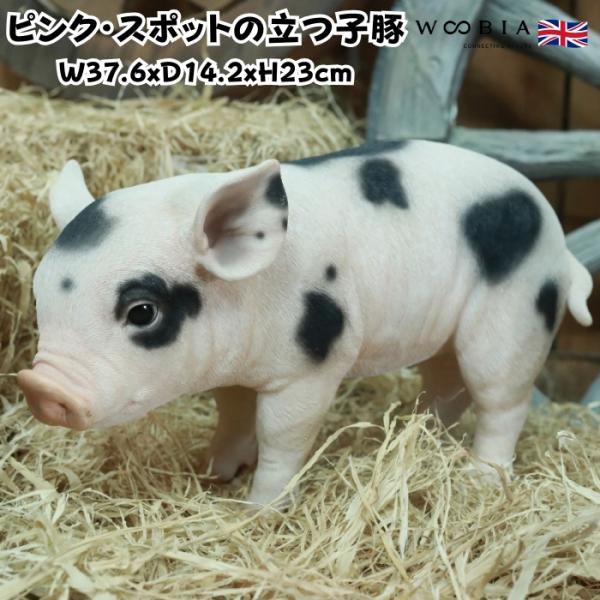 子豚のコックさん 豚の置物 置物 庭 玄関 子豚のコックさん 豚の置物 置物 庭 玄関 【公式通販】