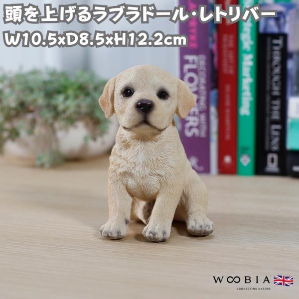 WOOBIA（ウービア） 置物 犬 かわいい 動物 玄関 頭を上げる
