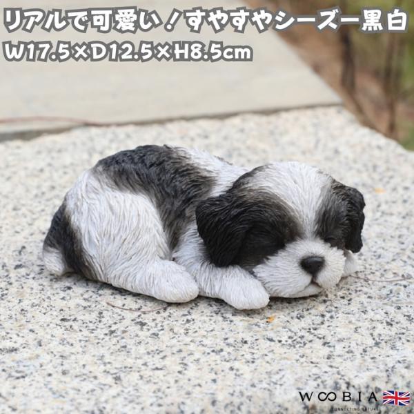 犬 置物 すやすやシーズー 高さ8.5cm WOOBIA リアル 可愛い おしゃれ オブジェ 卓上 インテリア 玄関 ギフト 動物 雑貨 癒し 庭