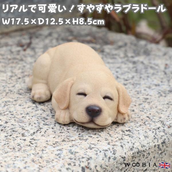 犬 置物 すやすやラブラドールレトリバー 眠る 高さ8.5cm WOOBIA リアル 可愛い おしゃれ オブジェ 卓上 インテリア 玄関 ギフト 動物 雑貨