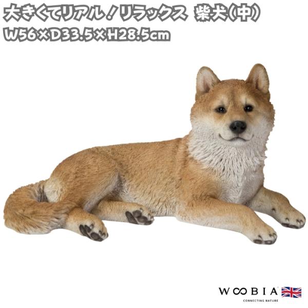 犬 置物 大型 リラックス柴犬 中 犬グッズ 横幅56cm woobia おしゃれ 大きい 玄関インテリア 庭 ガーデン かわいいオブジェ 北欧 リアル 面白い ウービア