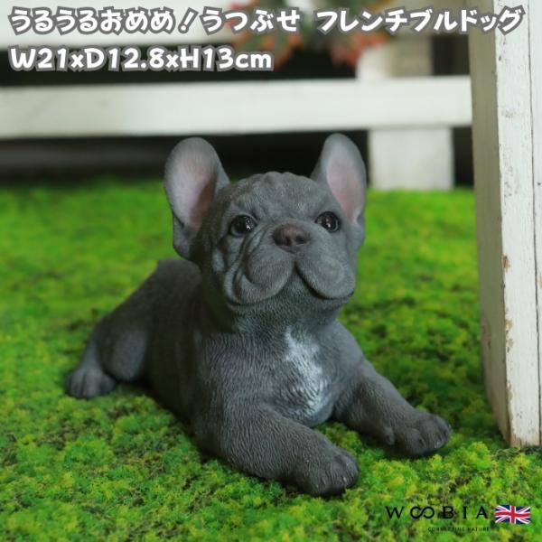 置物 犬 かわいい 動物 玄関 フレンチ・ブルドッグ 寝そべるポーズ