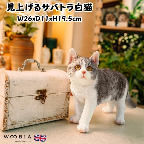 置物 猫 動物 かわいい 見上げるサバトラ白猫 大 ネコ 横幅26cm woobia