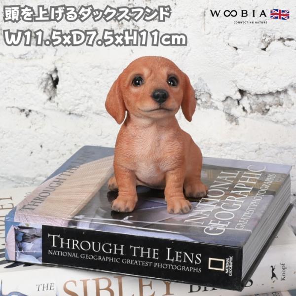 置物 犬 動物 頭を上げるダックスフンド 高さ11cm woobia おしゃれ 大きい 玄関 インテリア ガーデン かわいい オブジェ ウービア
