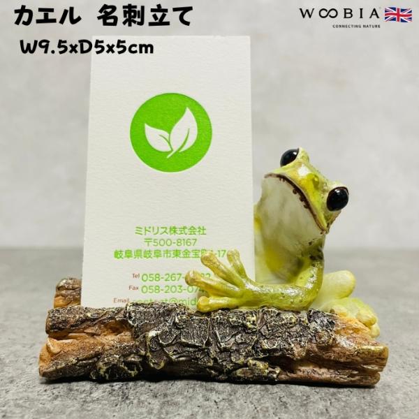 WOOBIA（ウービア） カエル 置物 かわいい 名刺立て 蛙 縁起物 風水