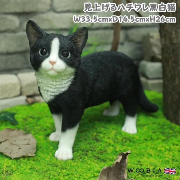 置物 動物 見上げるハチワレ黒白猫 ねこ 横幅33.5cm woobia おしゃれ