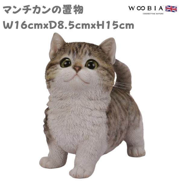 置物 動物 マンチカン サバトラ白 ネコ 高さ15cm woobia おしゃれ 大きい 玄関 インテリア 庭 オブジェ 大型 ウービア