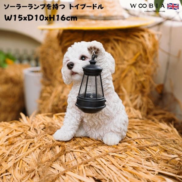 置物 犬 かわいい 動物 玄関 ソーラーランプを左手で持ち上げるトイプードル ホワイト おしゃれ ガーデン woobia ウービア