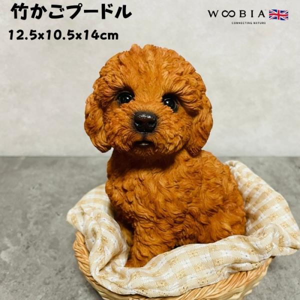 置物 犬 かわいい 動物 玄関 竹かごプードル レッド おしゃれ
