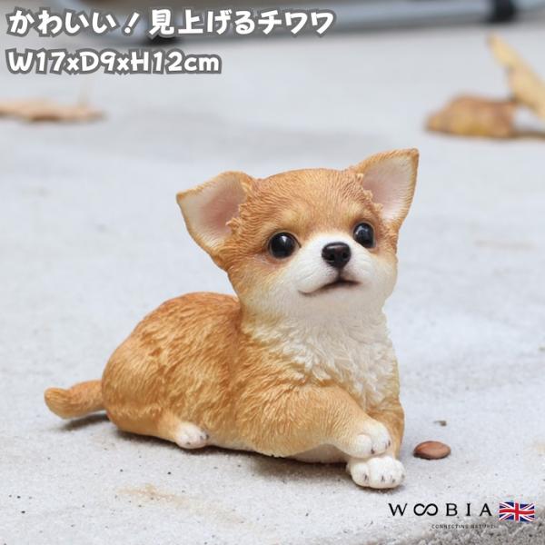 犬 置物 おしゃれ 見上げるチワワ レッド かわいい 動物 インテリア