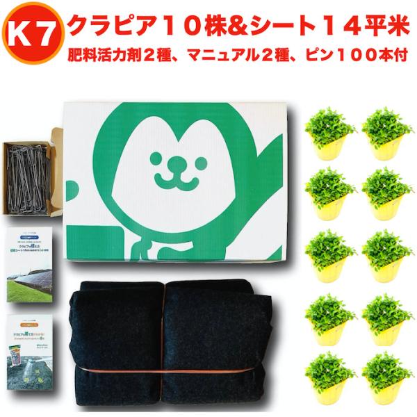 【レビュー特典は肥料100ｇになります】※レビューは商品到着後にご投稿ください。【クラピア】：K7（白） 9cmポット 10株（ポット色：黒または黄）【肥料・活力剤】：有機入り一発果菜肥料 100g メネデール 100ml【シート】：14平...