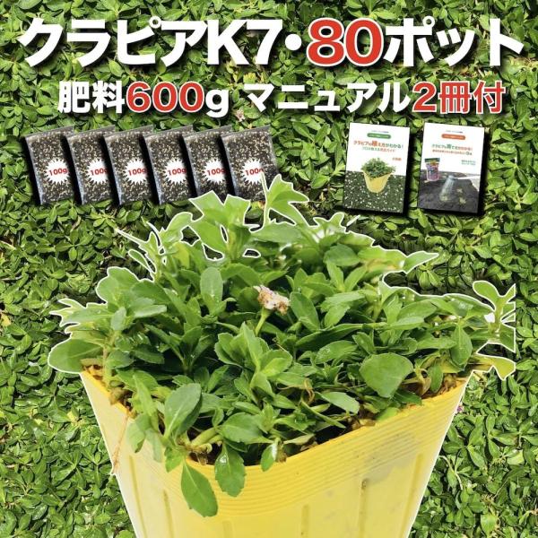 【GW特別便実施中！】ゴールデンウィークに植えられる！今だけ即日配送の特別便を実施中です。ご要望欄にご希望のお届け日を記載してください。お届け日時のご指定はご注文・ご入金後、【月曜到着を除く日付】（午前・午後14時から16時/16時から18...