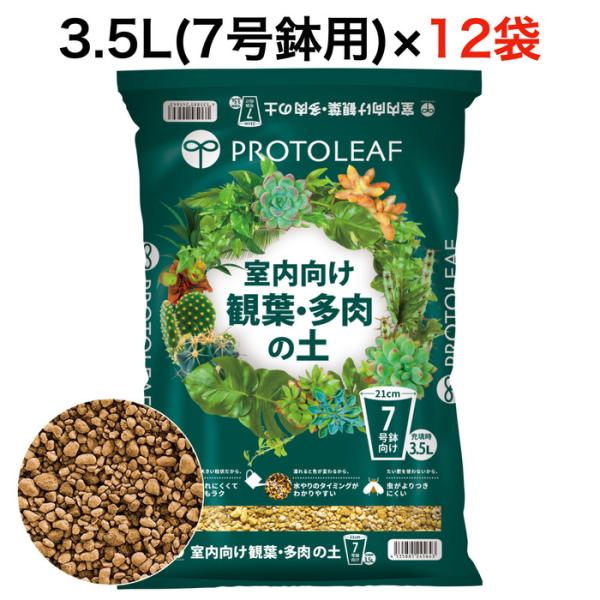 Top【選抜株】多肉植物　25871フジ錦　35個　鉢無し/脱土 まとめ買い プロトリーフ 室内向け観葉・多肉の土7号鉢用 3.5L×12袋