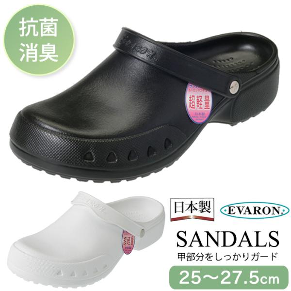 { Go T_ Y am  ɂ R L V[Y   a@ i[XT_ i[XV[Y D-SA-51_DS