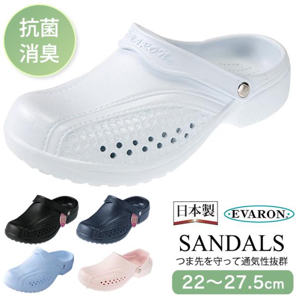 { Go T_ yĔɂ R L y i[XT_ i[XV[Y hN^[ Ōt  O V[Y   a@ D-SA-81_DS