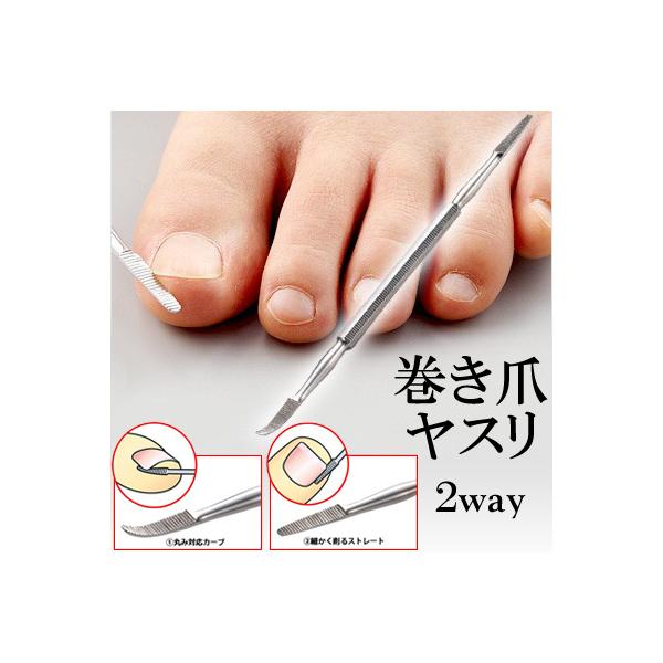  X 2way Kтɂ XeX ɂ pObv ₷ ^ ܃X im-8199  [֑