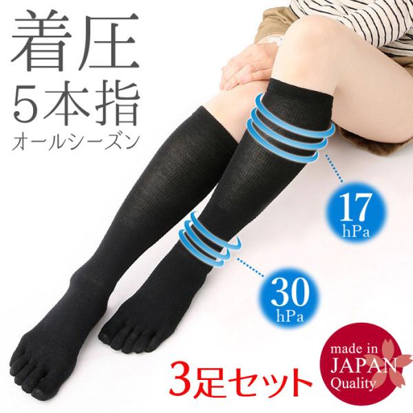 { 5{w nC\bNX 3Zbg \bNX fB[X ܖ{w  n  mm-4966-3set [֑