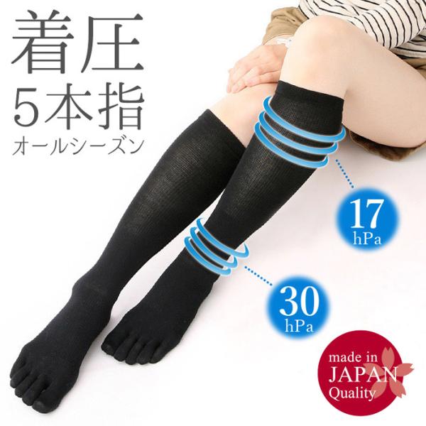 { 5{w nC\bNX \bNX fB[X ܖ{w  n \bNX 97% Rbg  I[V[Y ^Cv mm-4966 200