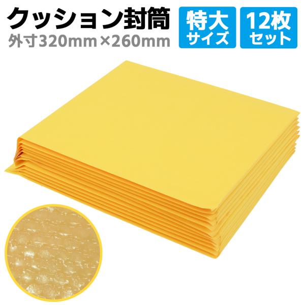 midoriya_pt-pft-3226