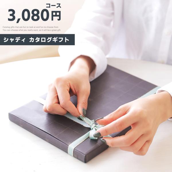 J^OMtg MtgJ^O v[g Mtg 3,080~R[X Vg sd-EC-BO-013 20241