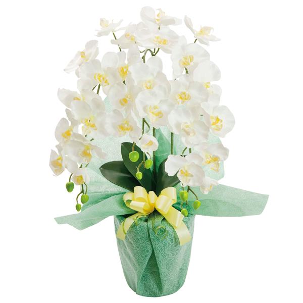SC触媒加工 プラチナ胡蝶蘭（アーティフィシャルフラワー） HCA2-WY-23暮らしを彩る贈り物枯れないお花で、気持ちを伝えませんか生花のようにお世話がいらず、エアコンの風や光量なども気にせず忙しい方にも気軽に胡蝶蘭の美しさをお楽しみ頂け...