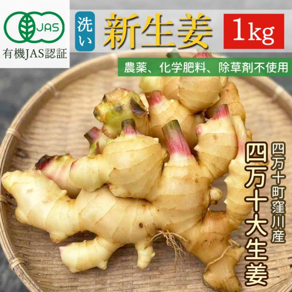 豊かな水資源と肥沃な土の自然環境を上手に利用し、栽培期間中農薬不使用の「有機JAS圃場」にて大ぶりに育てた四万十大生姜です。お味はマイルドな辛味が特徴で、もちろん農薬を使用していないので皮ごとお使いになれます。すり下ろして薬味にしたり、自家...
