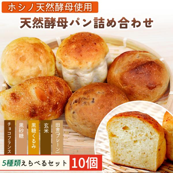 パン ホシノ天然酵母 100% 天然酵母パン 10個 セット もちもち