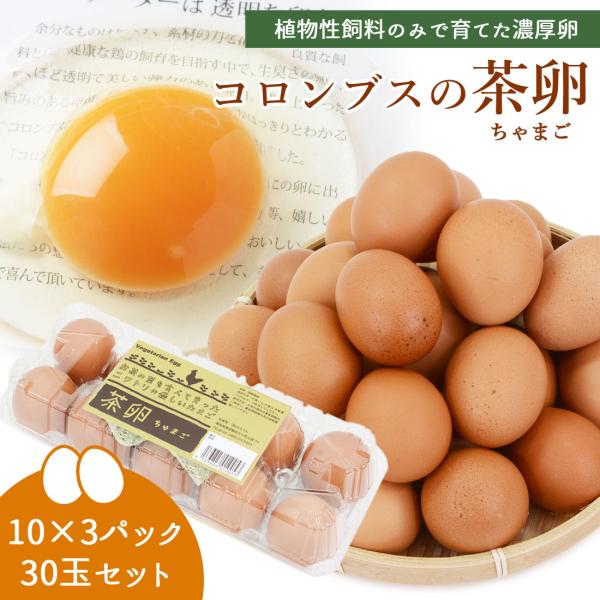 【コロンブスの茶卵について】コロンブスが立たない卵を立たした話のように、卵を食べられない子供たちにも食べてもらえる「安全で美味しい卵」を創りたい。そんなコンセプトを夢に描き、コロンブスの茶卵創業者である佐々木さんは、アトピーのお子さんでも食...