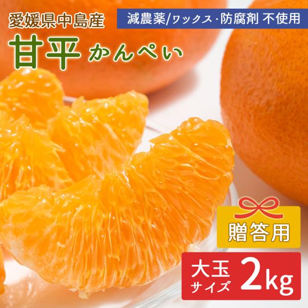 永遠　甘平8kg×２箱ぐるりん midoriya_yp2-fft-kae002