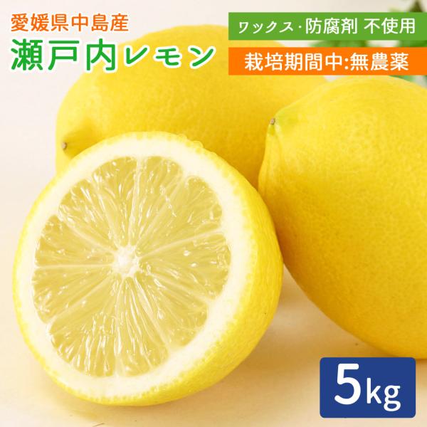 産地直送 瀬戸内レモン 無農薬 レモン 5kg 家庭用 瀬戸内海 離島の島