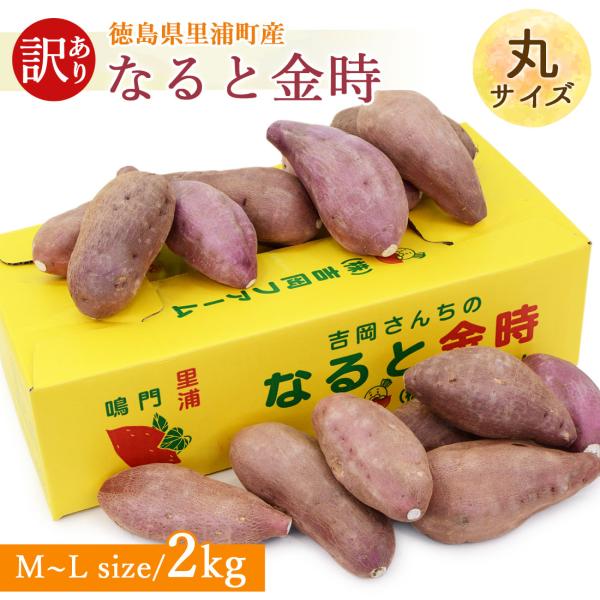 【吉岡さんちの土付きなると金時】吉岡ファームさんの砂畑は、温暖で降雨量の少ない瀬戸内式気候の徳島県鳴門市里浦町にあります。海沿いに位置する里浦は、海のミネラルをたくさん含んだ良質な砂地に恵まれています。四国の澄んだ空気と海風、サンサンと照ら...