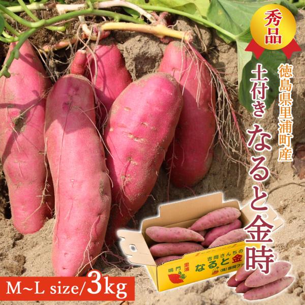 【吉岡さんちの土付きなると金時】吉岡ファームさんの砂畑は、温暖で降雨量の少ない瀬戸内式気候の徳島県鳴門市里浦町にあります。海沿いに位置する里浦は、海のミネラルをたくさん含んだ良質な砂地に恵まれています。四国の澄んだ空気と海風、サンサンと照ら...